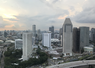 DXN TSIP 2018 Singapore