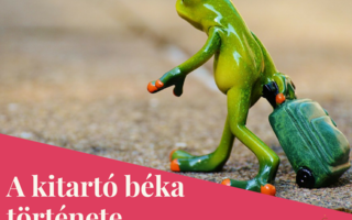 A kitartó béka története