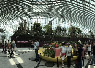 Botanikus kert Szingapúrban