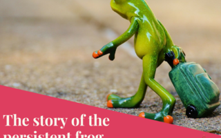 The story of the persistent frog